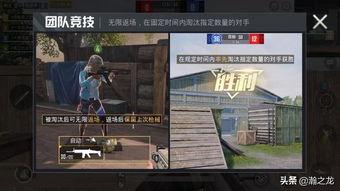 宠物爆料和平精英视频下载,平精英独家视频下载攻略 第2张 宠物爆料和平精英视频下载,平精英独家视频下载攻略 第2张