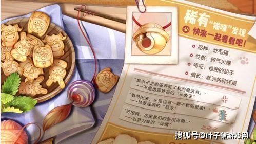 纤歌帝荣耀典藏最新爆料,揭秘全新爆料,探寻神秘力量觉醒之谜 第3张 纤歌帝荣耀典藏最新爆料,揭秘全新爆料,探寻神秘力量觉醒之谜 第3张