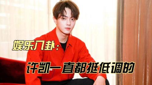 许凯娱乐大爆料,揭秘娱乐圈幕后真相与明星幕后故事