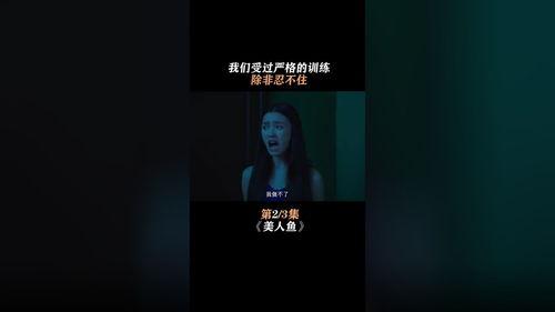 爆料搞笑转场视频素材,笑料连连,视频素材盘点 第3张 爆料搞笑转场视频素材,笑料连连,视频素材盘点 第3张