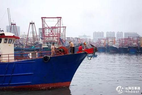爆料渔船视频大全播放下载,渔船视频大全精彩瞬间回顾