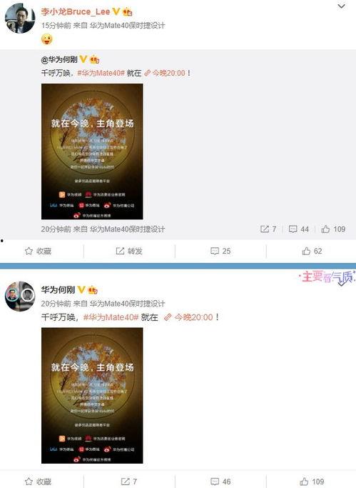 重点爆料视频大全,焦点事件大盘点