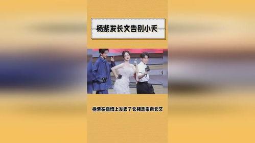 新版爆料大结局视频,揭秘剧情高潮与结局悬念  第2张