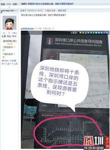 深圳新闻网爆料,揭秘背后惊人真相