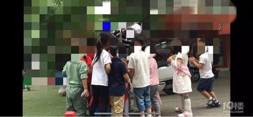 湖北缅甸厨师爆料视频曝光,视频曝光行业黑幕