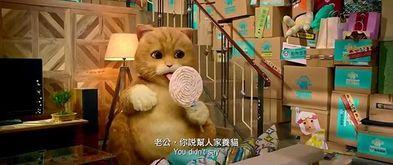 加菲猫古天乐在线观看,萌宠奇遇记,笑料横生 第3张 加菲猫古天乐在线观看,萌宠奇遇记,笑料横生 第3张