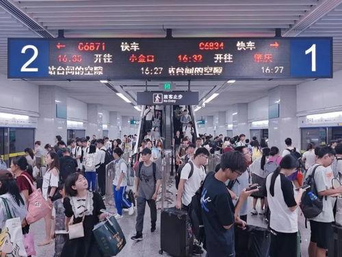 广州东莞爆料新闻,聚焦城市热点事件追踪