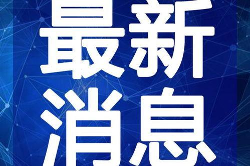 最新新康饭菜爆料视频,揭秘校园美食新潮流