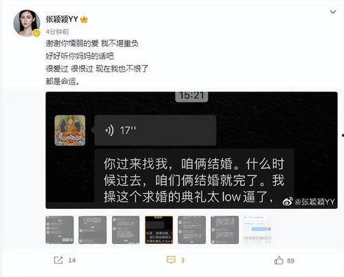 张兰最新爆料聊天记录,揭秘与某明星的惊人聊天记录