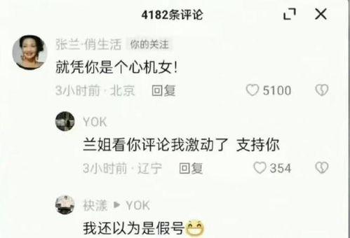 张兰最新爆料聊天记录,揭秘与某明星的惊人聊天记录 第3张 张兰最新爆料聊天记录,揭秘与某明星的惊人聊天记录 第3张