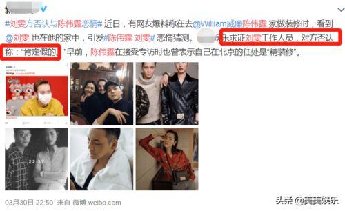 崔始源刘雯最新爆料,揭秘明星背后的故事与情感纠葛  第3张