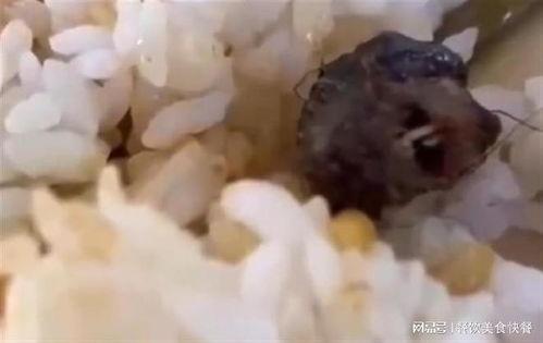 鼠头鸭脖爆料视频大全,真相大白背后的食品安全警示 第3张 鼠头鸭脖爆料视频大全,真相大白背后的食品安全警示 第3张