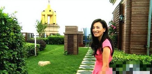 张庭夫妇爆料视频播放在线观看,揭秘娱乐圈惊人内幕  第2张