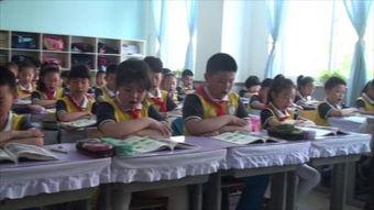 学校在线观看,探索学校在线观看的新篇章