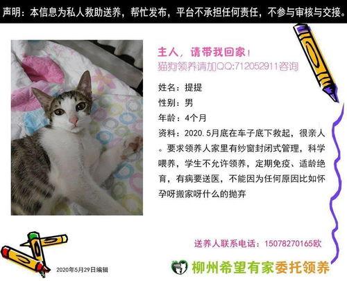 爱爱在线观看,探索网络情感世界的秘密  第2张