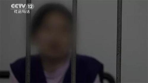 黑土爆料事件始末视频播放,揭秘真相与舆论风暴