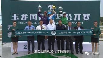 玉龙电视台在线观看,在线观看，尽享精彩瞬间  第2张
