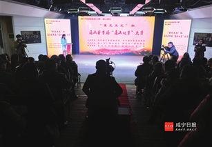 玉龙电视台在线观看,在线观看，尽享精彩瞬间  第3张