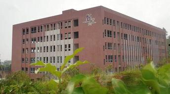 浏阳新弘学校爆料事件视频,真相与争议并存