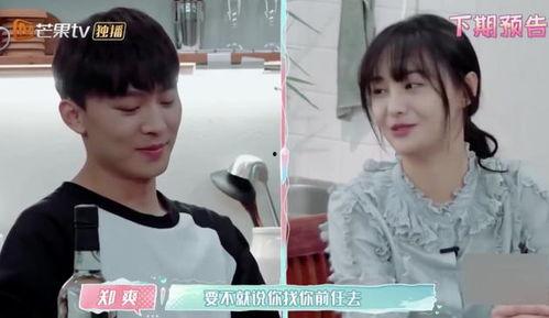 张恒与郑爽的爆料视频,情感纠葛与真相大白