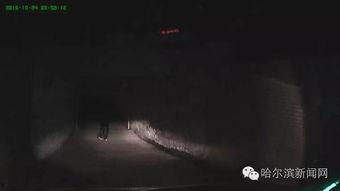 凌晨三点在线观看,线上观影新体验