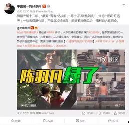 天涯论坛官媒爆料赵亦威视频,真相与争议并存  第2张