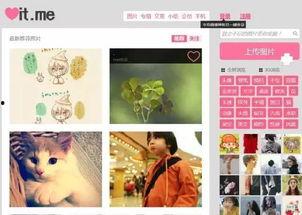 小仙儿爆料视频下载网站,一网打尽热门视频资源  第3张