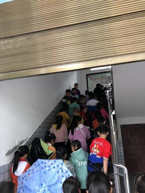 河南学校爆料事件最新,揭开教育乱象背后的真相