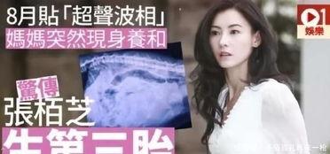 张柏芝爆料已脱单视频,甜蜜视频曝光！
