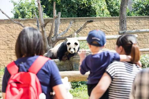 网红爆料动物园视频在线观看,动物园真实画面,网友热议动物福利问题 第2张 网红爆料动物园视频在线观看,动物园真实画面,网友热议动物福利问题 第2张