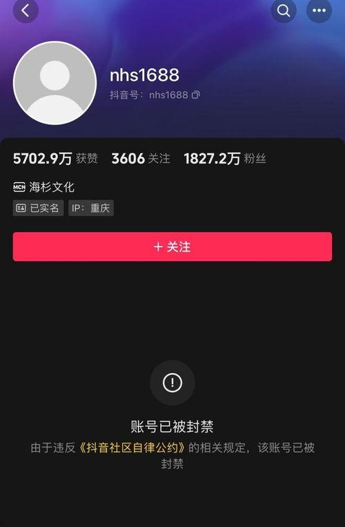倪海杉有爆料谁吗视频