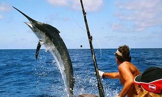 娱乐吃瓜钓鱼视频,吃瓜、钓鱼视频带你领略休闲生活新风尚  第2张