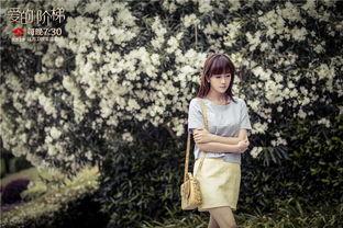 电视剧爱的阶梯在线观看,跨越时光的深情演绎