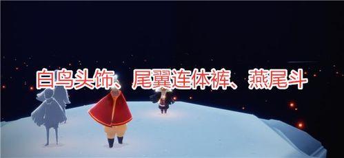 在哪里看光遇最新爆料,探寻神秘新内容与更新