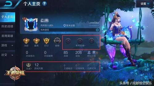 王者无心爆料视频大全,揭秘游戏幕后精彩瞬间  第3张