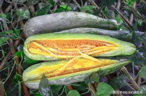 濮阳网红吃瓜,揭秘网络红人的幕后故事 第3张 濮阳网红吃瓜,揭秘网络红人的幕后故事 第3张