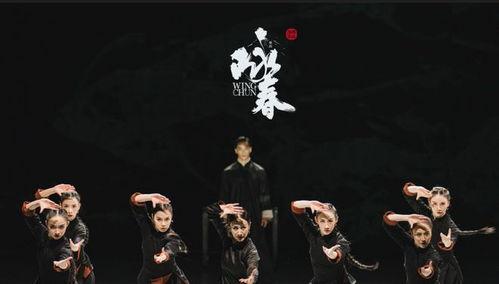 咏春舞蹈在线观看,在线欣赏传统武术与现代舞蹈的完美融合  第3张