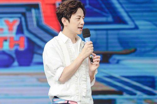 阿雅爆料何炅视频,揭秘背后故事  第2张