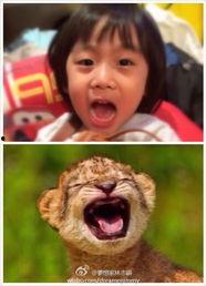 小白胖爸爸爆料视频全集,揭秘家庭生活点滴 第2张 小白胖爸爸爆料视频全集,揭秘家庭生活点滴 第2张