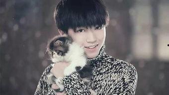 狗仔队爆料王俊凯视频,狗仔队独家爆料背后的真相