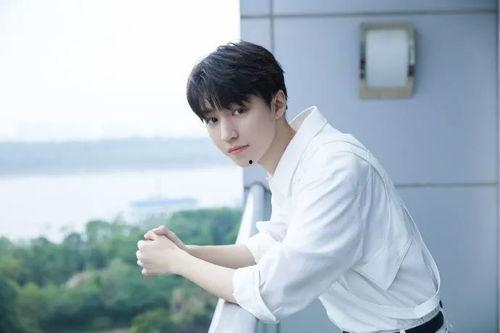 狗仔队爆料王俊凯视频,狗仔队独家爆料背后的真相  第3张